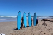 Germans-with-Boards-after-surfing-at-Middleton