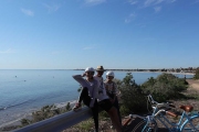 View from Kingston Park toward Brighton - Dave takes Guided and Self Guided Bike Tours along the beautiful Adelaide beaches