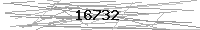 Verification Image
